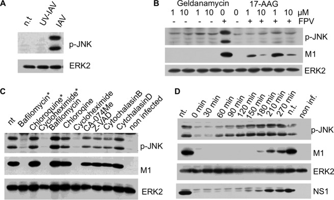 FIG 4