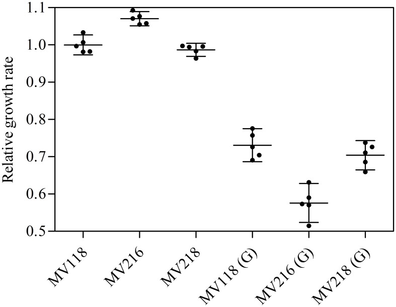 FIGURE 6