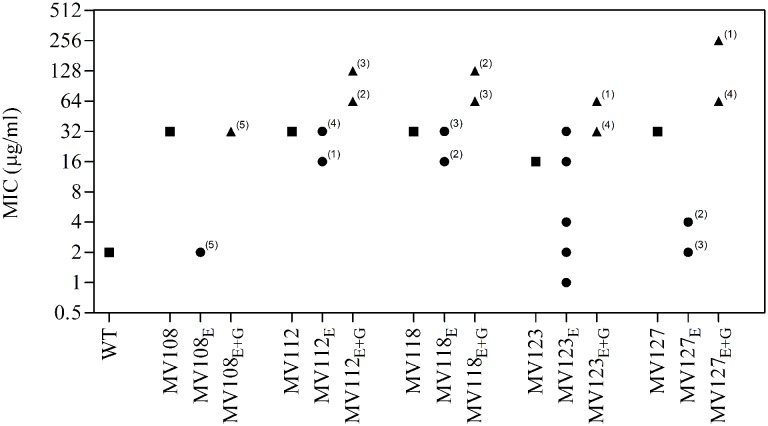 FIGURE 3