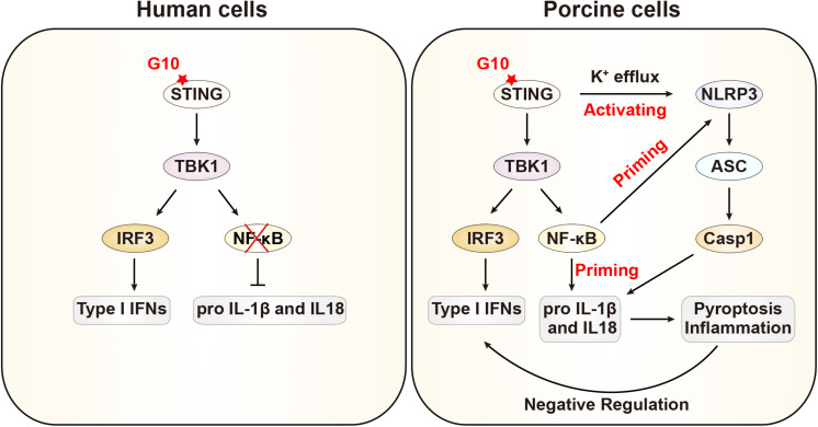 FIGURE 9