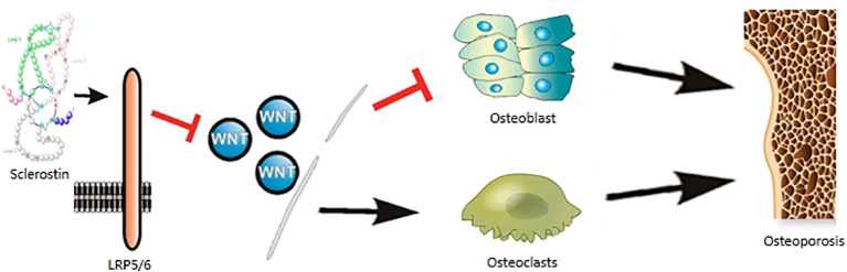 Figure 1