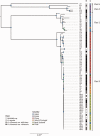 F<sc>ig</sc>. 1.—