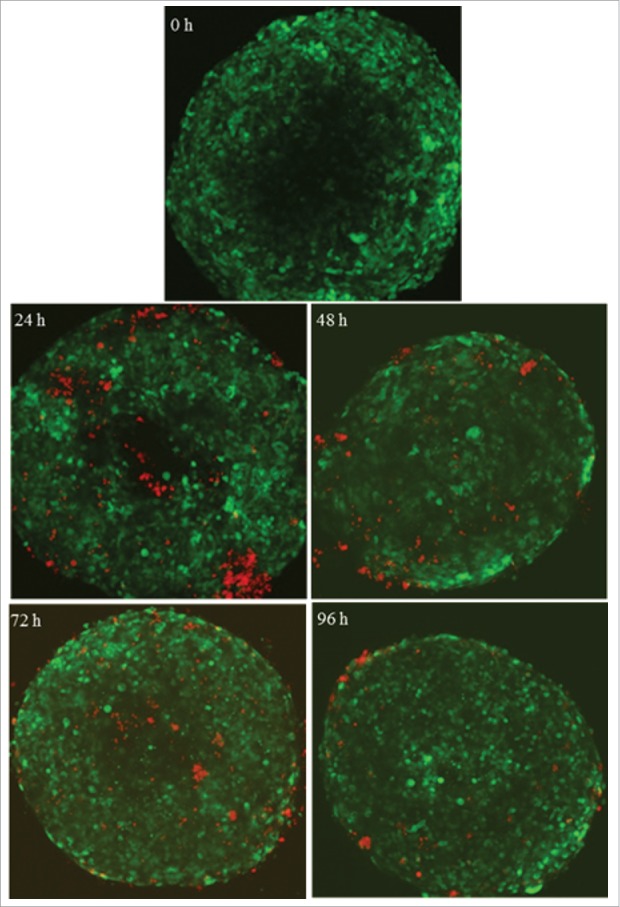 Figure 5.