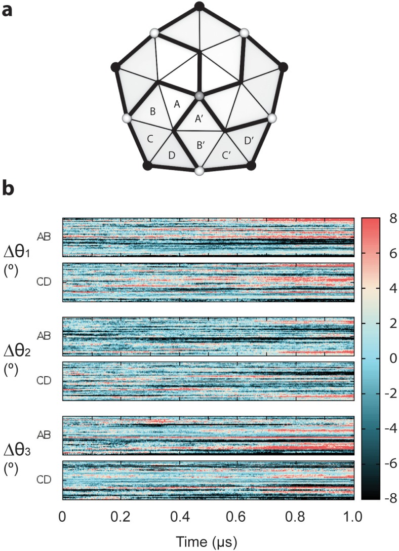 Figure 3—figure supplement 1.