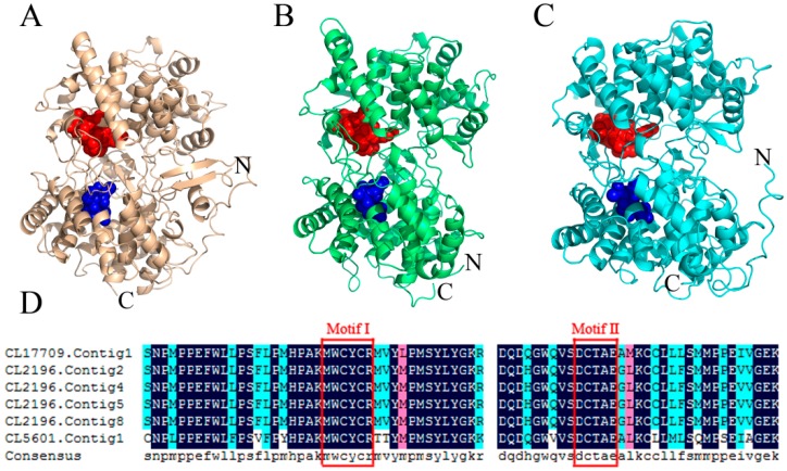 Figure 4