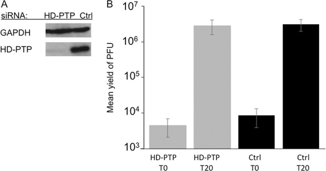 FIG 5