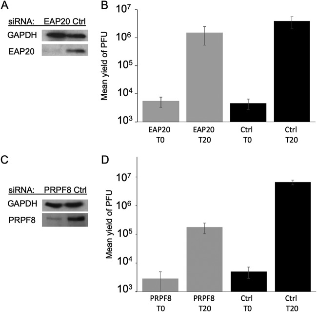 FIG 3