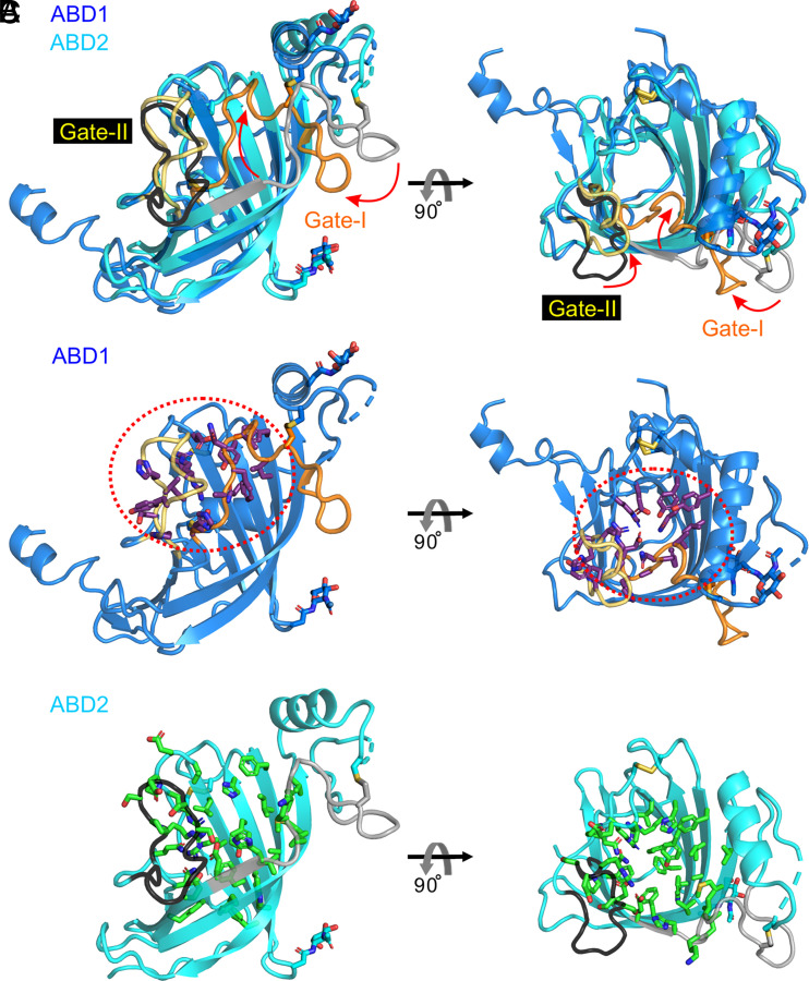 Fig. 6.