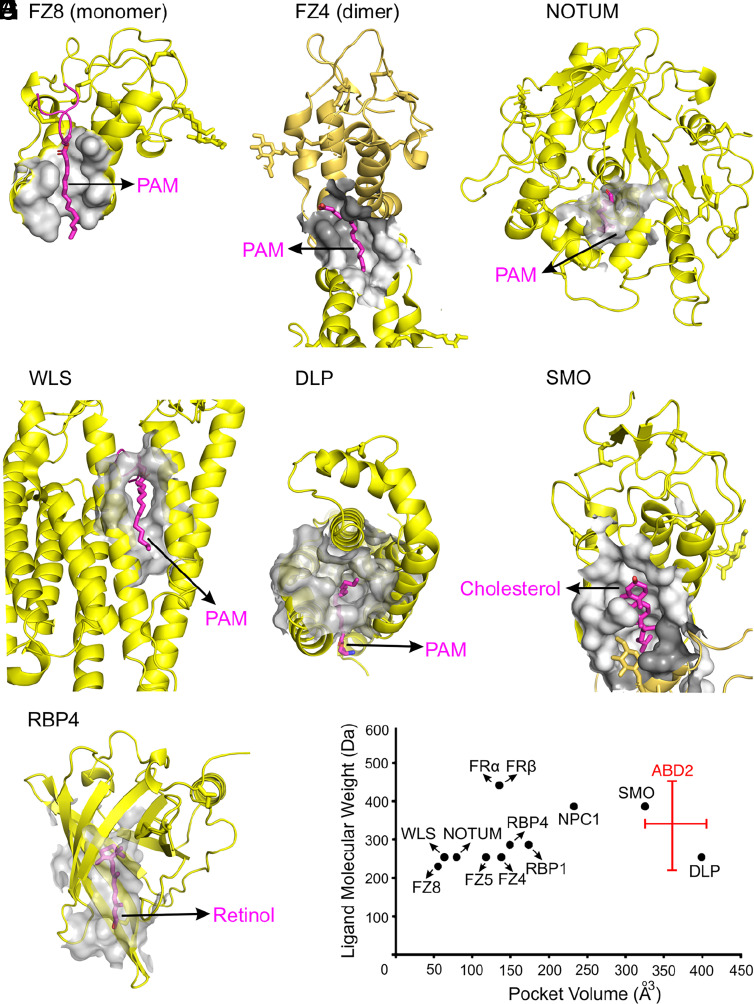 Fig. 7.