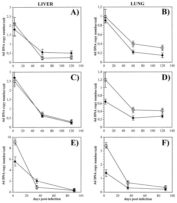 FIG. 6