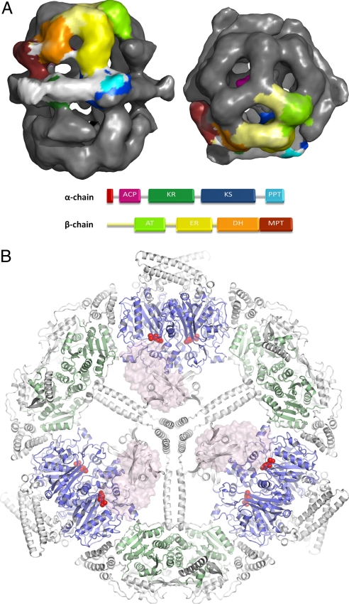 Fig. 1.