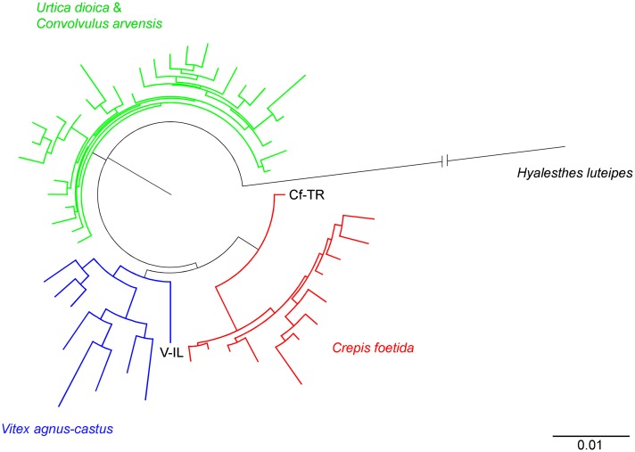 Fig 8