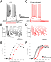 Figure 2—figure supplement 1.