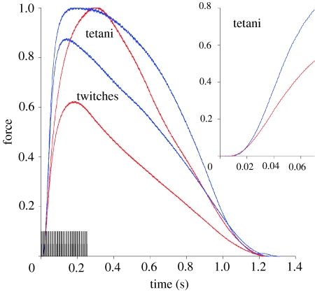 Figure 22