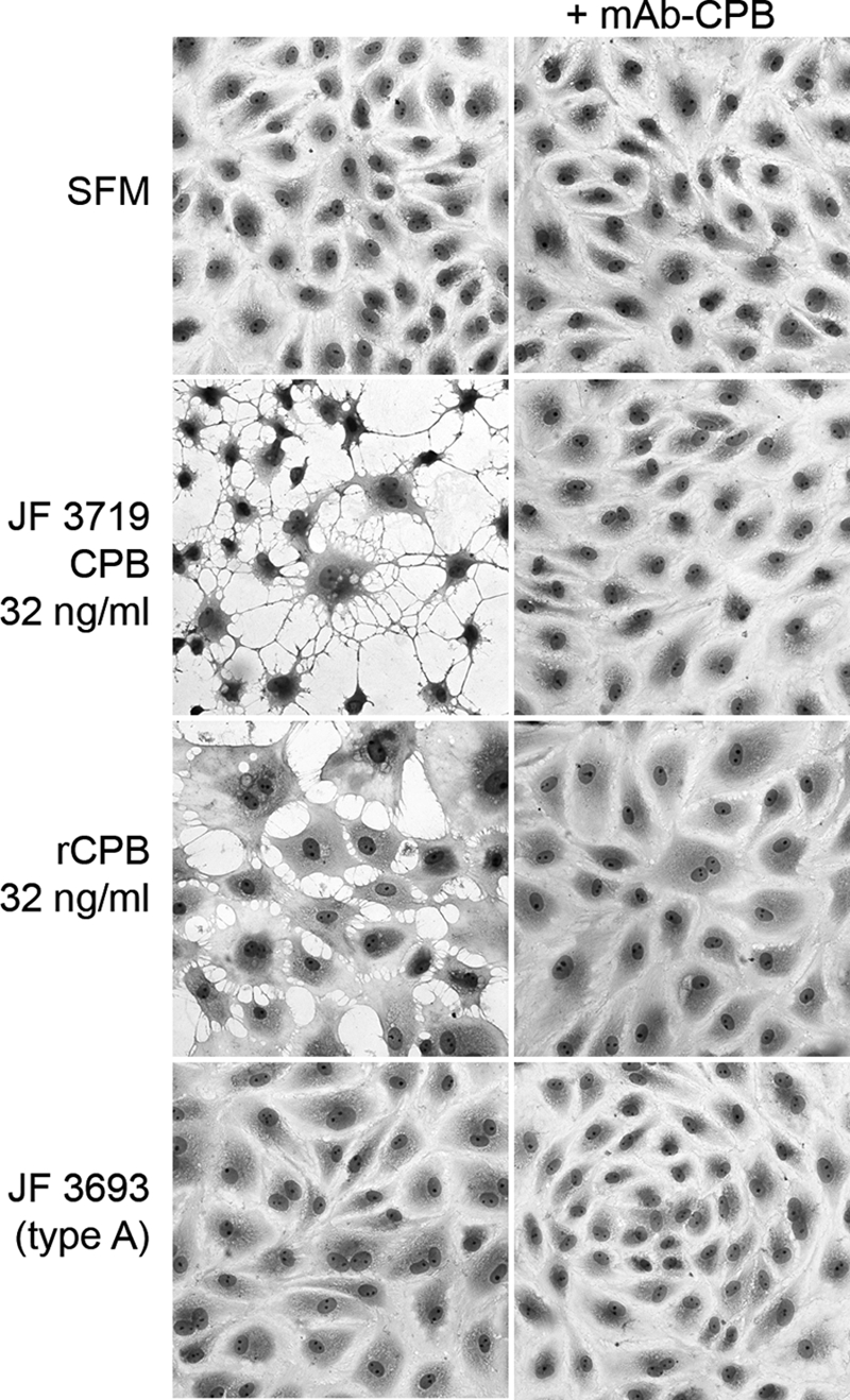 FIG. 5.