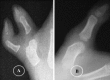 Fig. 8