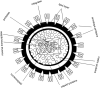 Figure 2.2