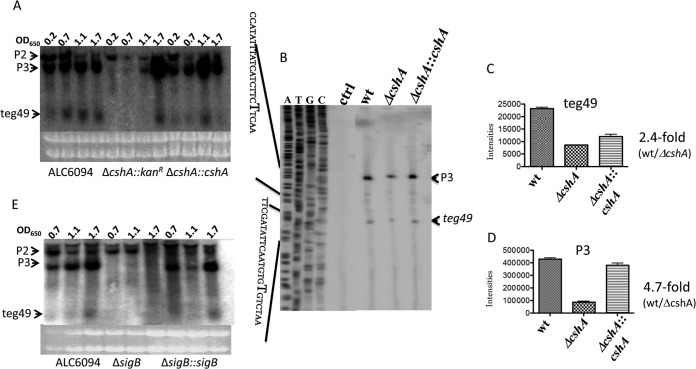 FIG 4