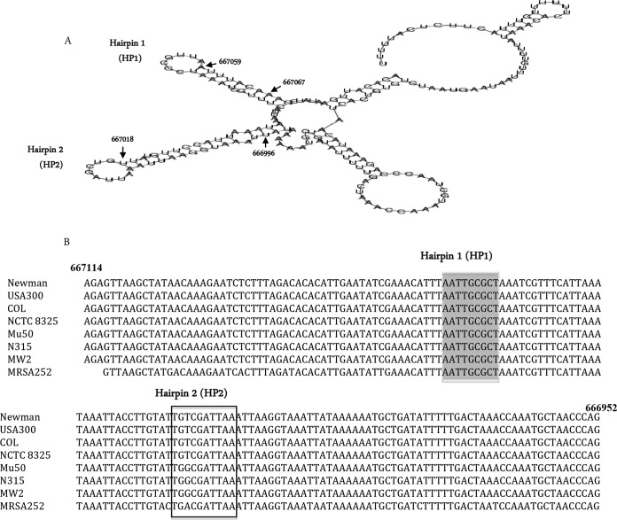 FIG 5