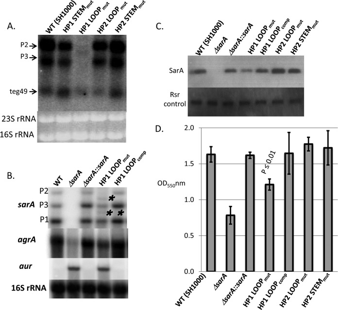 FIG 6