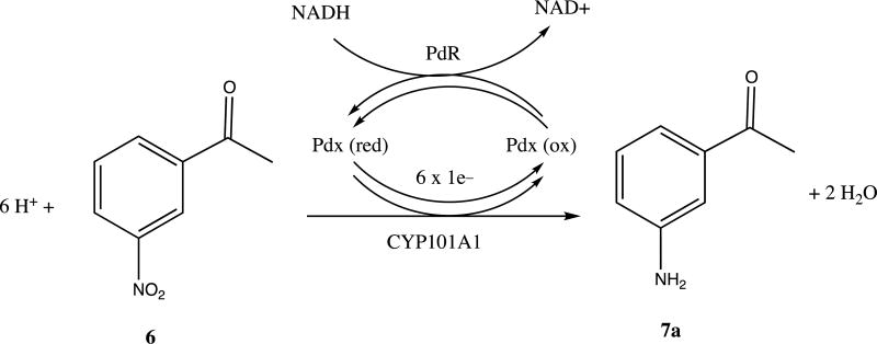 Scheme III