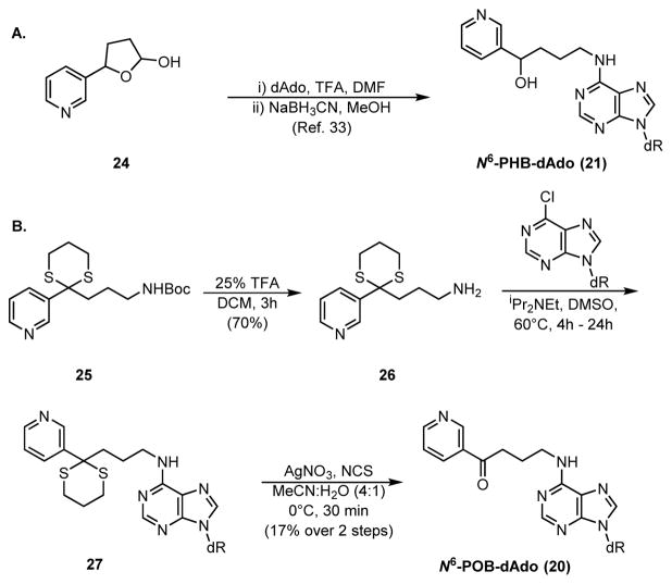 Scheme 3