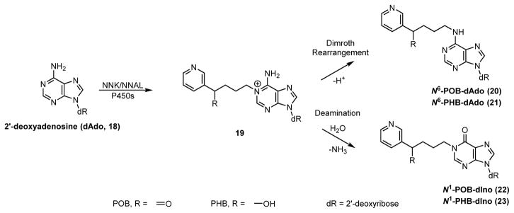 Scheme 2