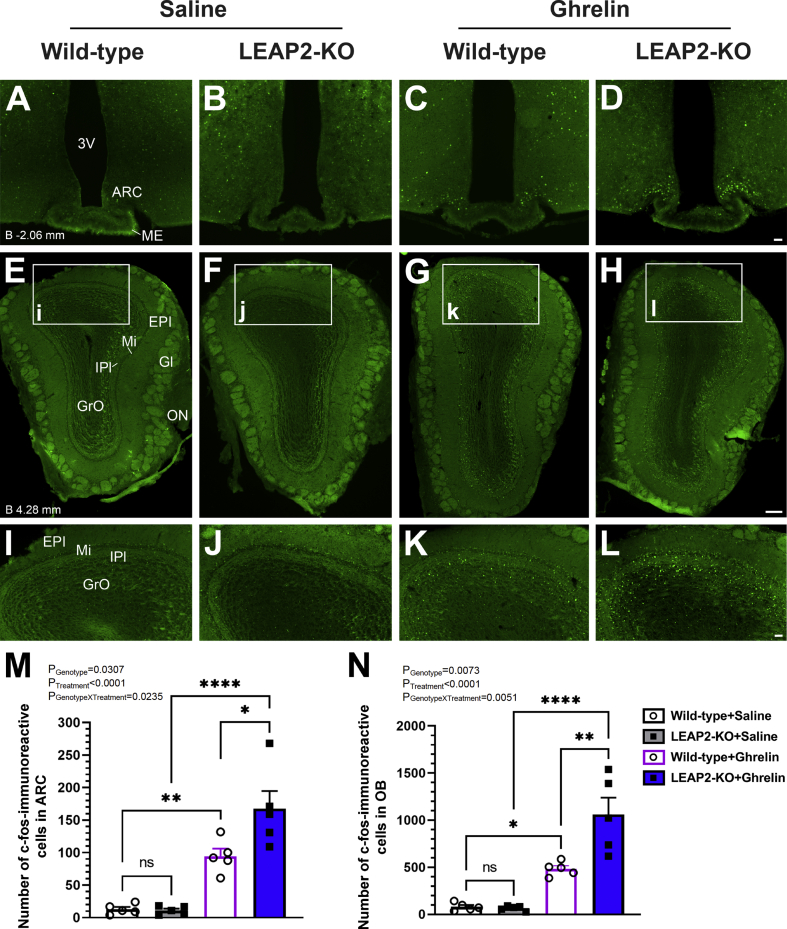 Figure 3