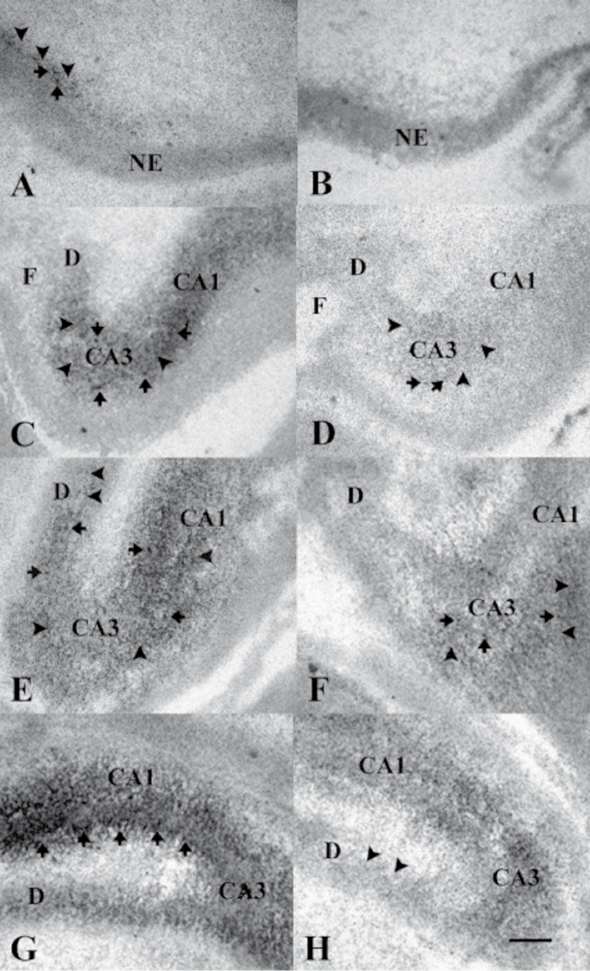 Figure 11.