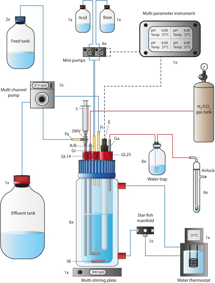 FIGURE 1