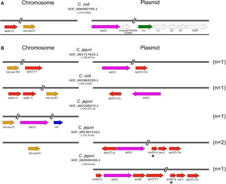 FIGURE 3