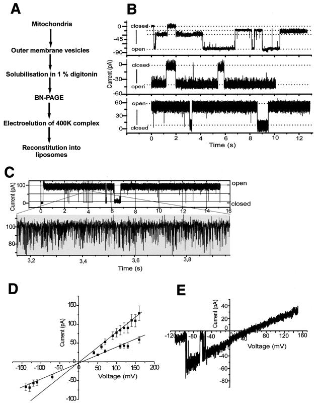 FIG. 6