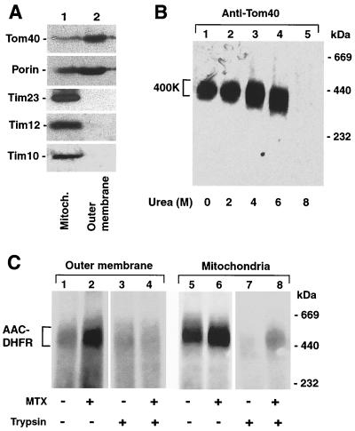 FIG. 5