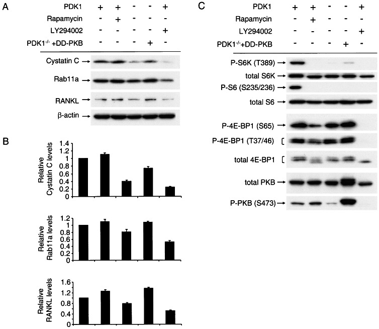 FIG. 6.