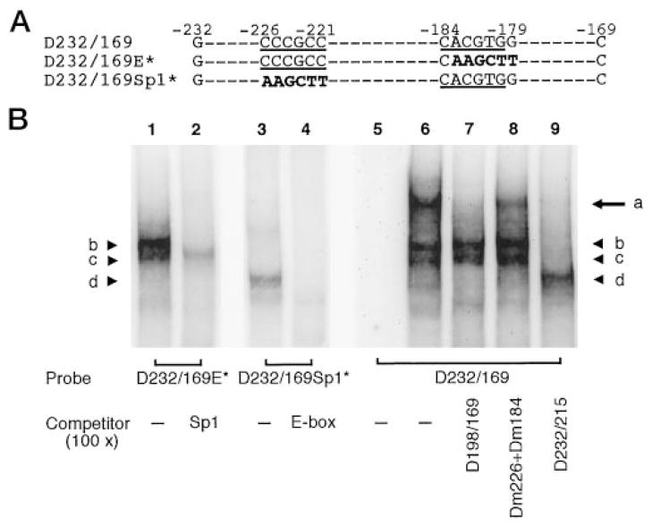 Fig. 9