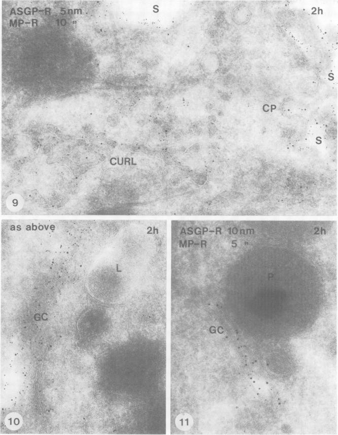 Fig. 9-11