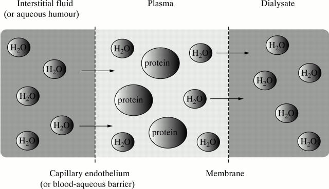 Figure 2  