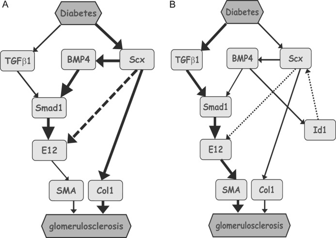 FIGURE 11.