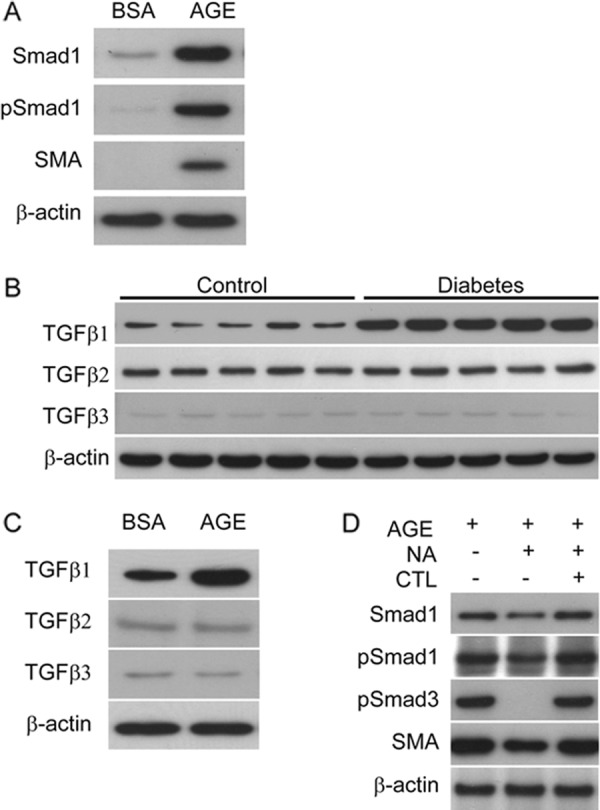 FIGURE 1.