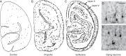 Fig 9