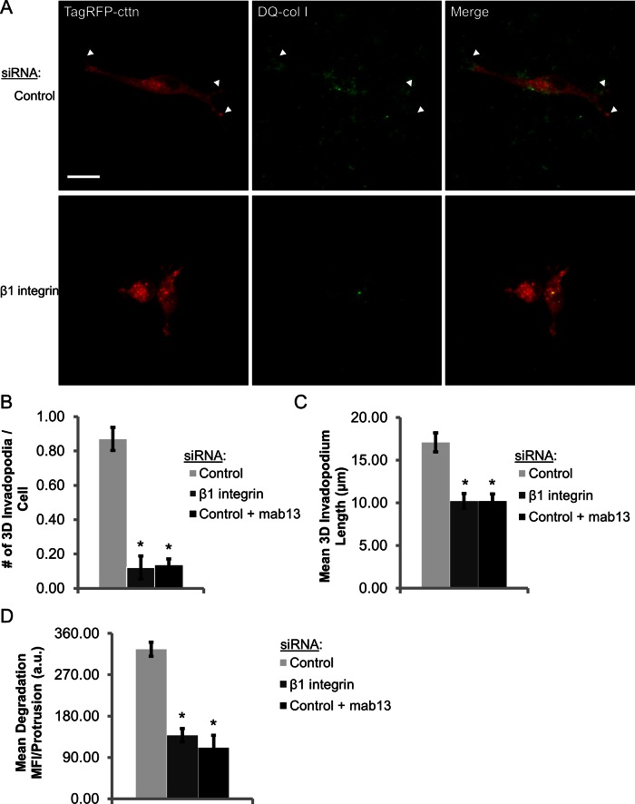 FIGURE 6: