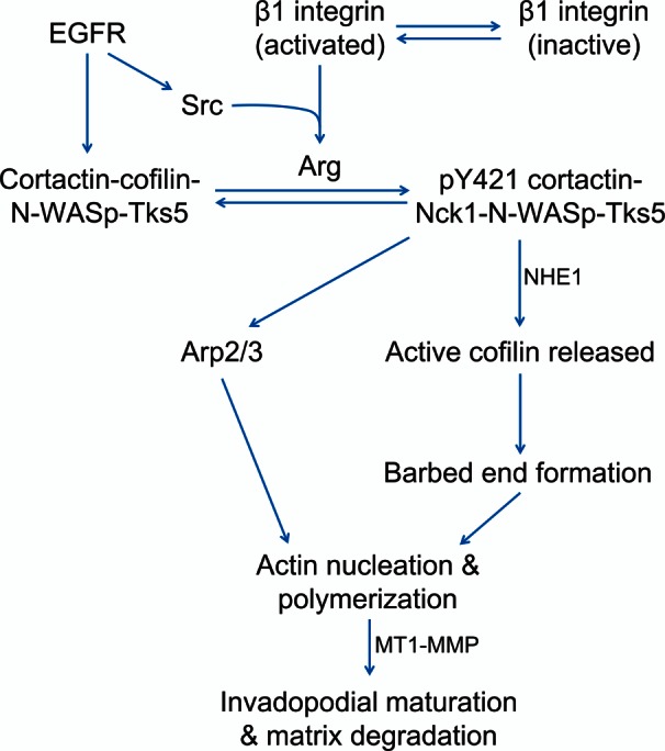 FIGURE 7: