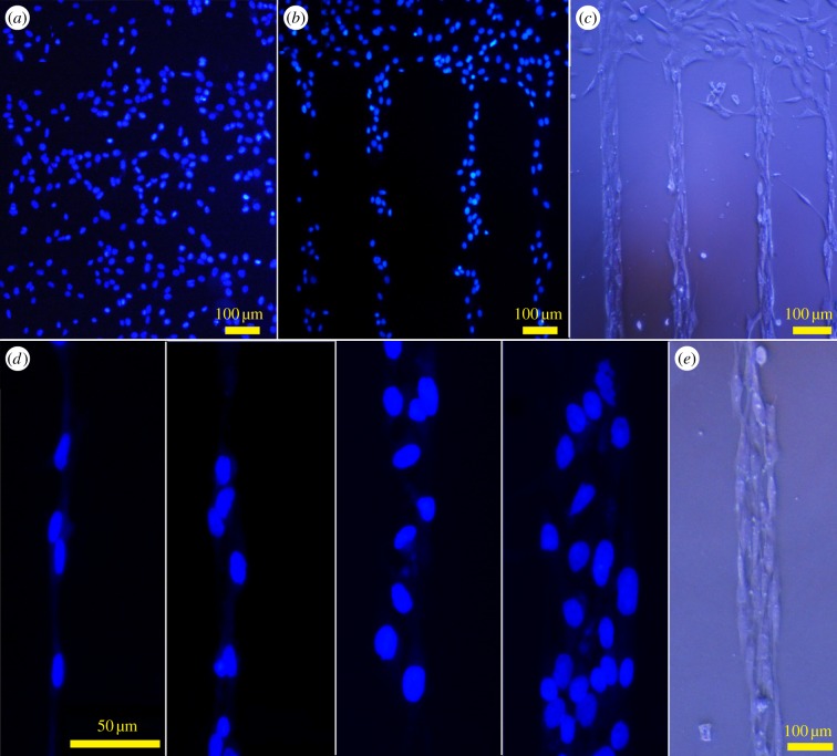 Figure 4.