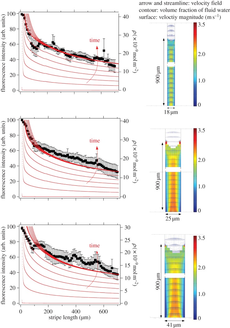 Figure 2.