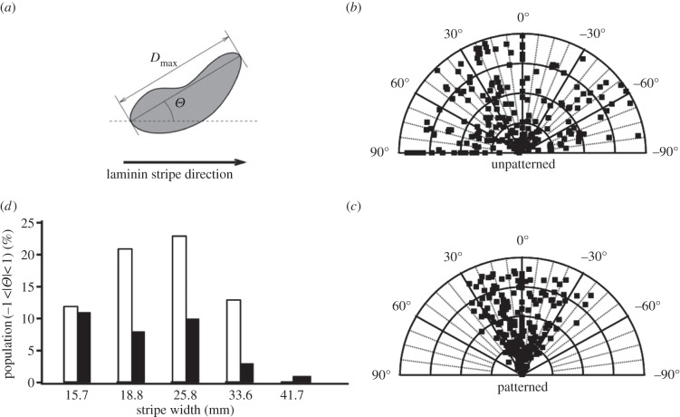 Figure 5.