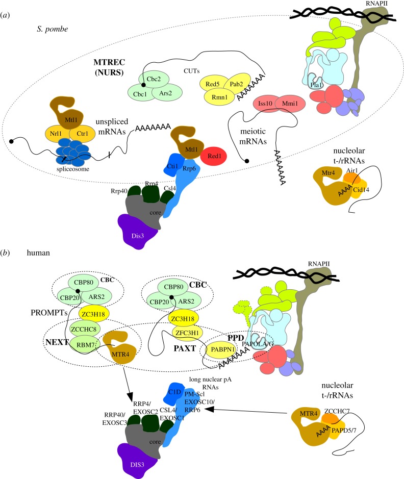 Figure 2.