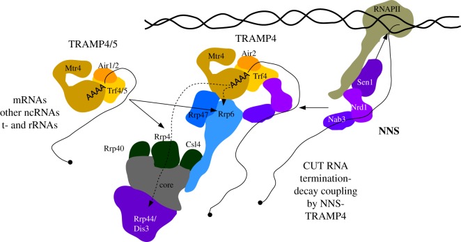 Figure 3.