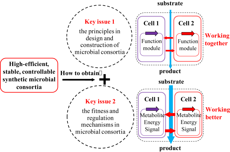 Fig. 2