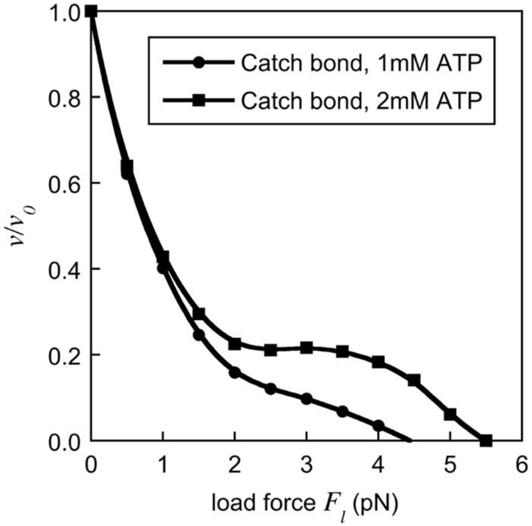 Fig. 10.