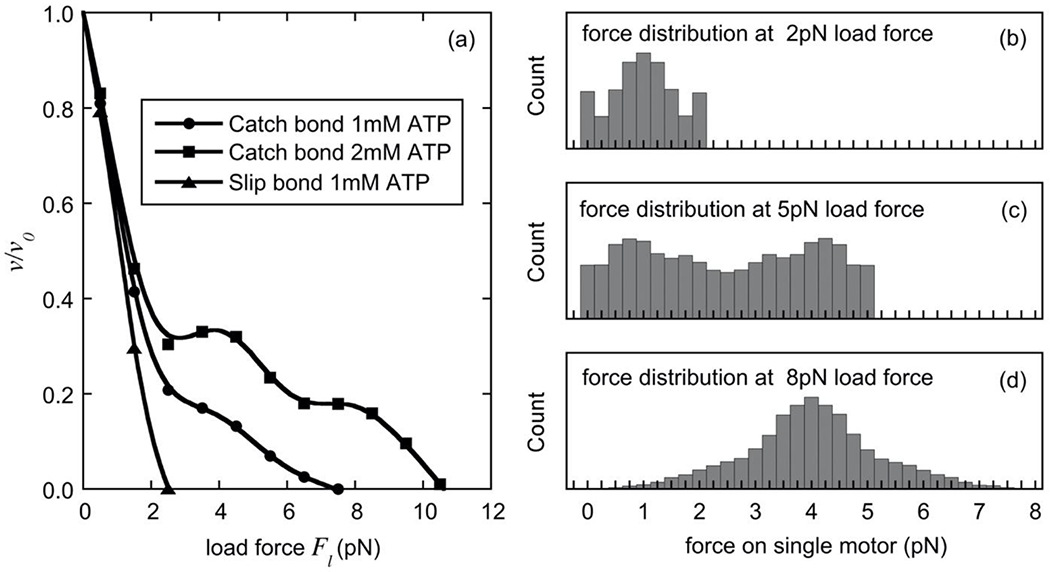 Fig. 9.